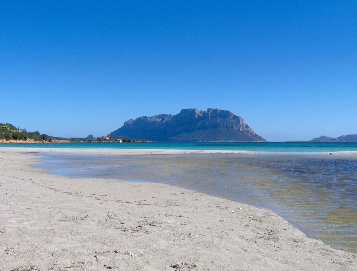 Il Mare Di Olbia Holiday Apartment מראה חיצוני תמונה